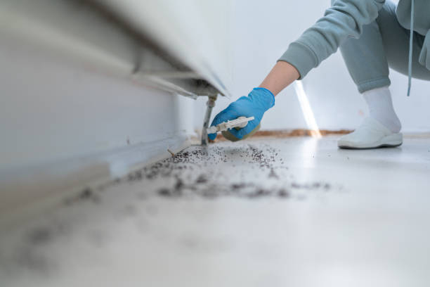 Best Best Pest Control Companies  in Lancaster, TX